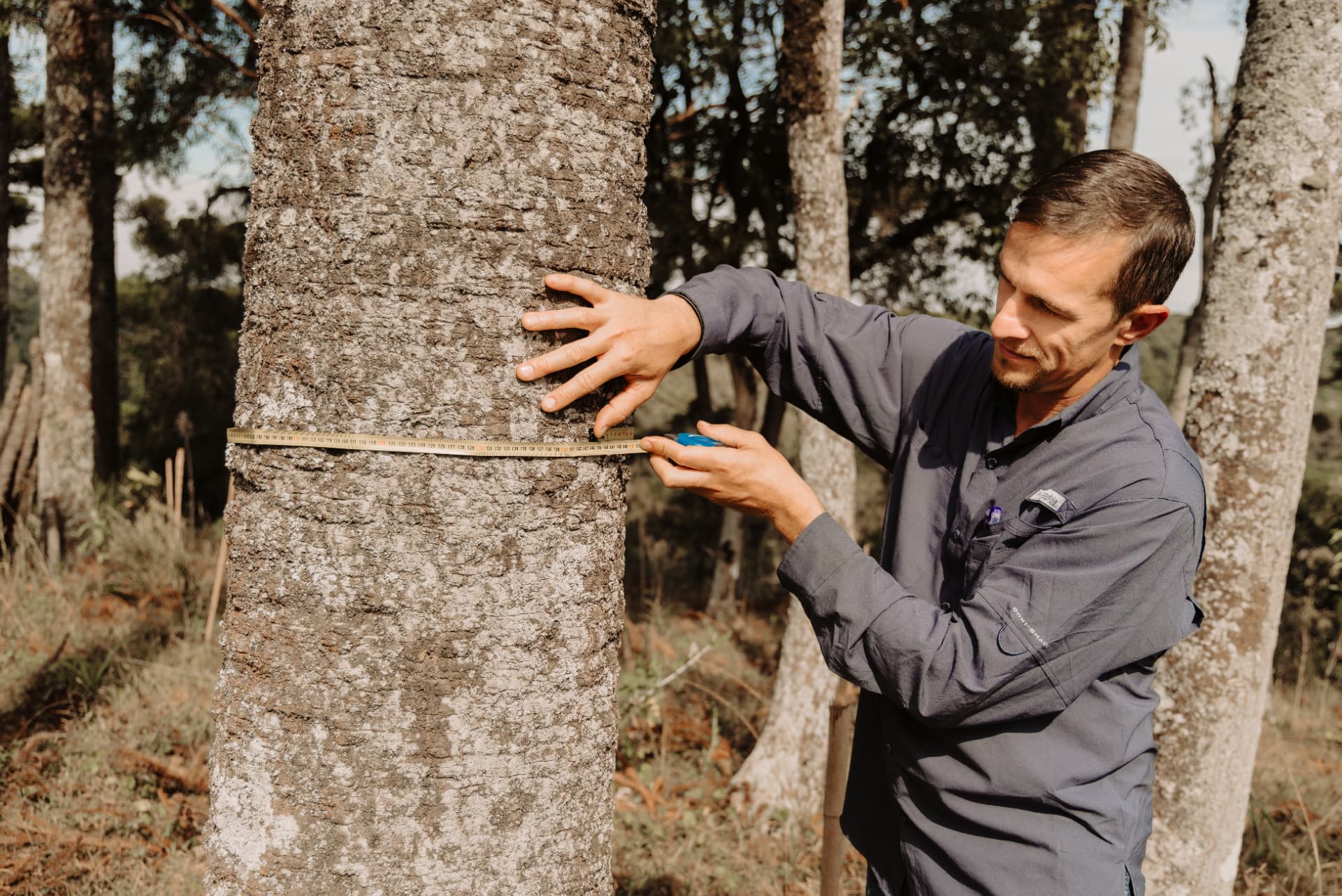 Engenheiro florestal operando drone para mapeamento e inventário florestal