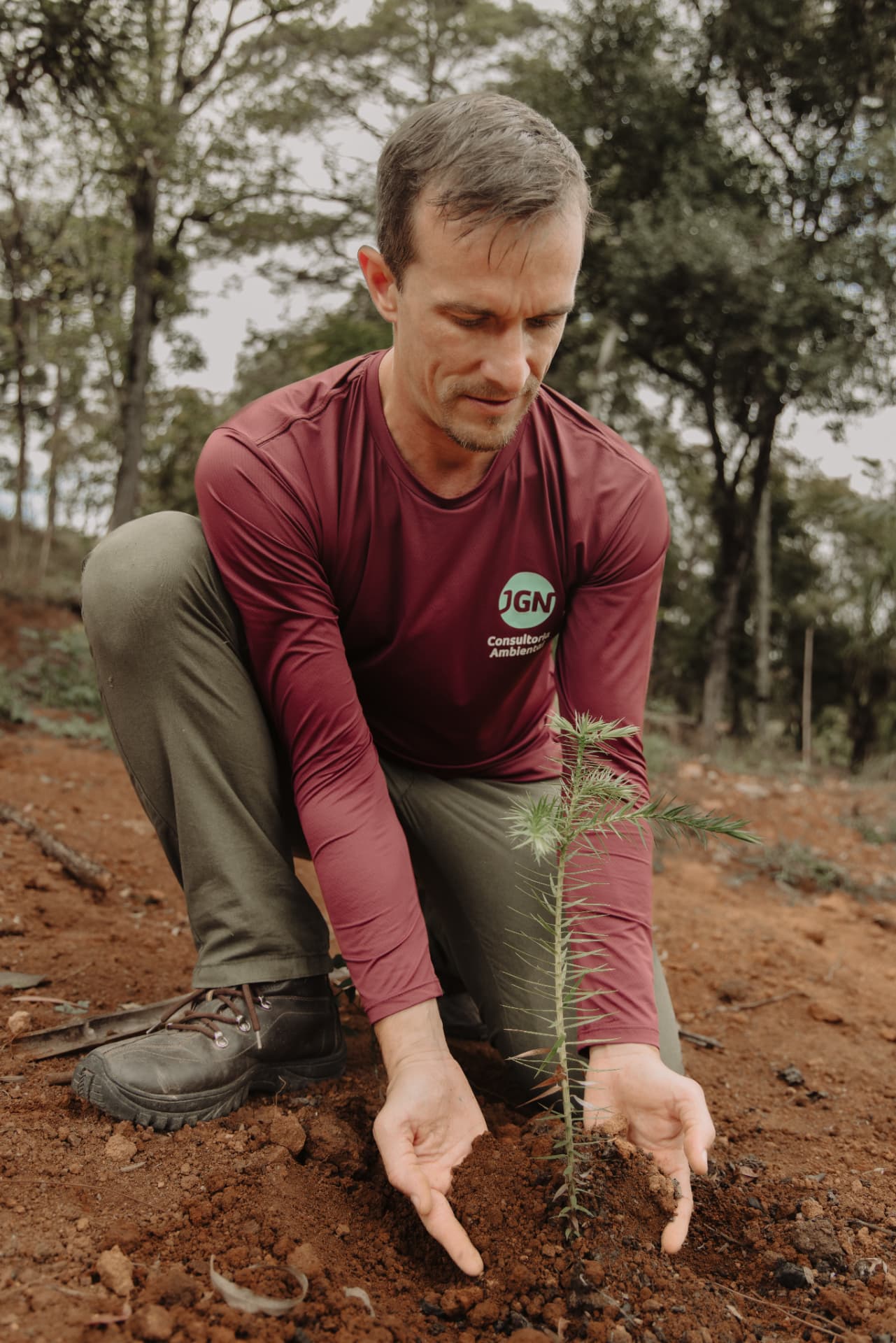 JGN Consultoria Ambiental | Engenharia Florestal e Licenciamento Ambiental